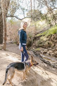 german shepherd walking